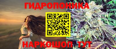 дживик Кандалакша