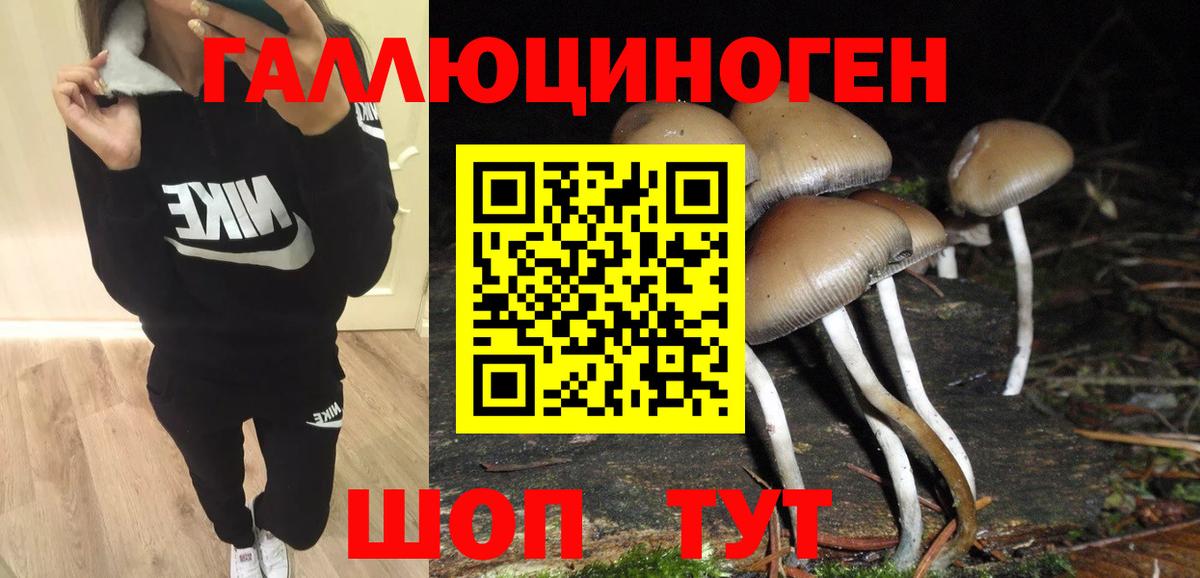 Каменск-Уральский  Галлюциногенные грибы прущие грибы  Вход с VPN 