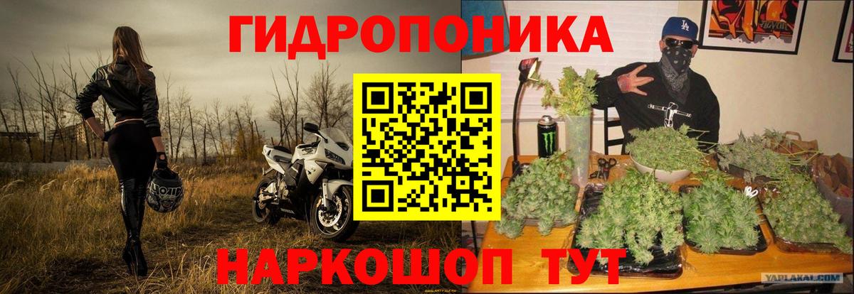 МАРИХУАНА план  Бошки марихуана планчик  Каменск-Уральский  Бошки марихуана THC 21%  Вход с VPN 
